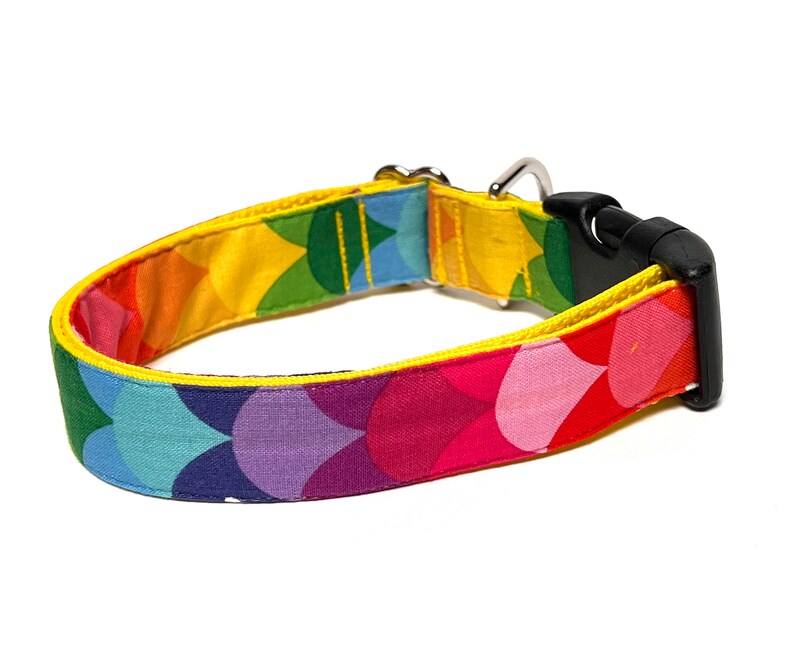 Rainbow dog collar with buckle, rainbow mermaid scales dog collar, colorful dog collar image 1