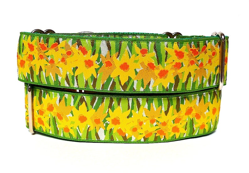 Floral martingale dog collar with yellow daffodils design, no-slip training collar, greyhound collar image 1