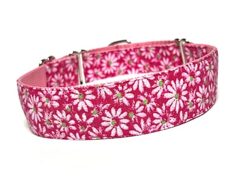 Daisies fuchsia pink and white martingale dog collar, daisy dog collar, floral dog collar, floral martingale collar, Daisies