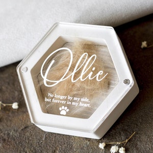 Pet hair memorial box for cat or dog fur keepsake custom pet loss gift personalized memory box loss of rabbit hair remembrance