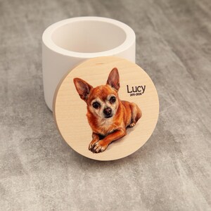 A wooden lid with a picture of a dog, specifically a chihuahua, and the name "Lucy" written on it.