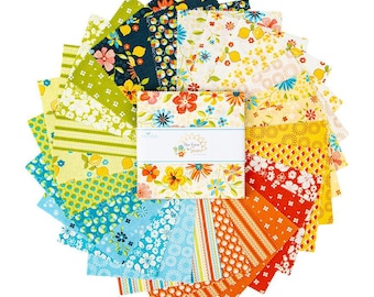 Riley Blake Designs Here Comes the Sun 5 inch Stacker Precut Pack by Sandy Gervais