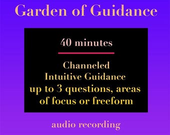 40 minutes - up to 3 questions/areas of life/freeform - Focused Channeled Intuitive Guidance