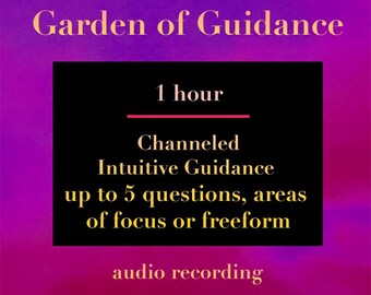 Focused Channeled Intuitive Guidance - 1 hour - up to 5 questions/areas of life/general freeform -