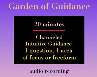 20 Minutes 1 Question /1 Area of Life/Freeform - Recorded Audio Focused Channeled Intuitive Guidance
