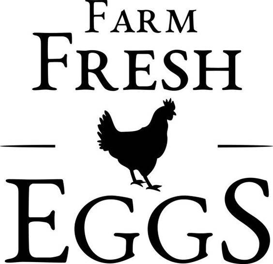 Farm Fresh Eggs Chicken Vinyl Car Decal Bumper Window Sticker