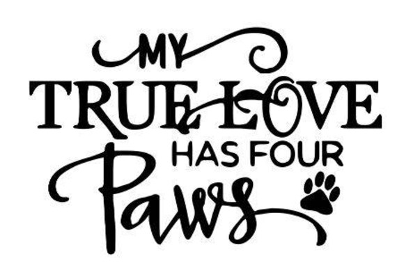 LOVE HAS FOUR PAWS wall stickers 4 decals room decor animal lover cat dog prints