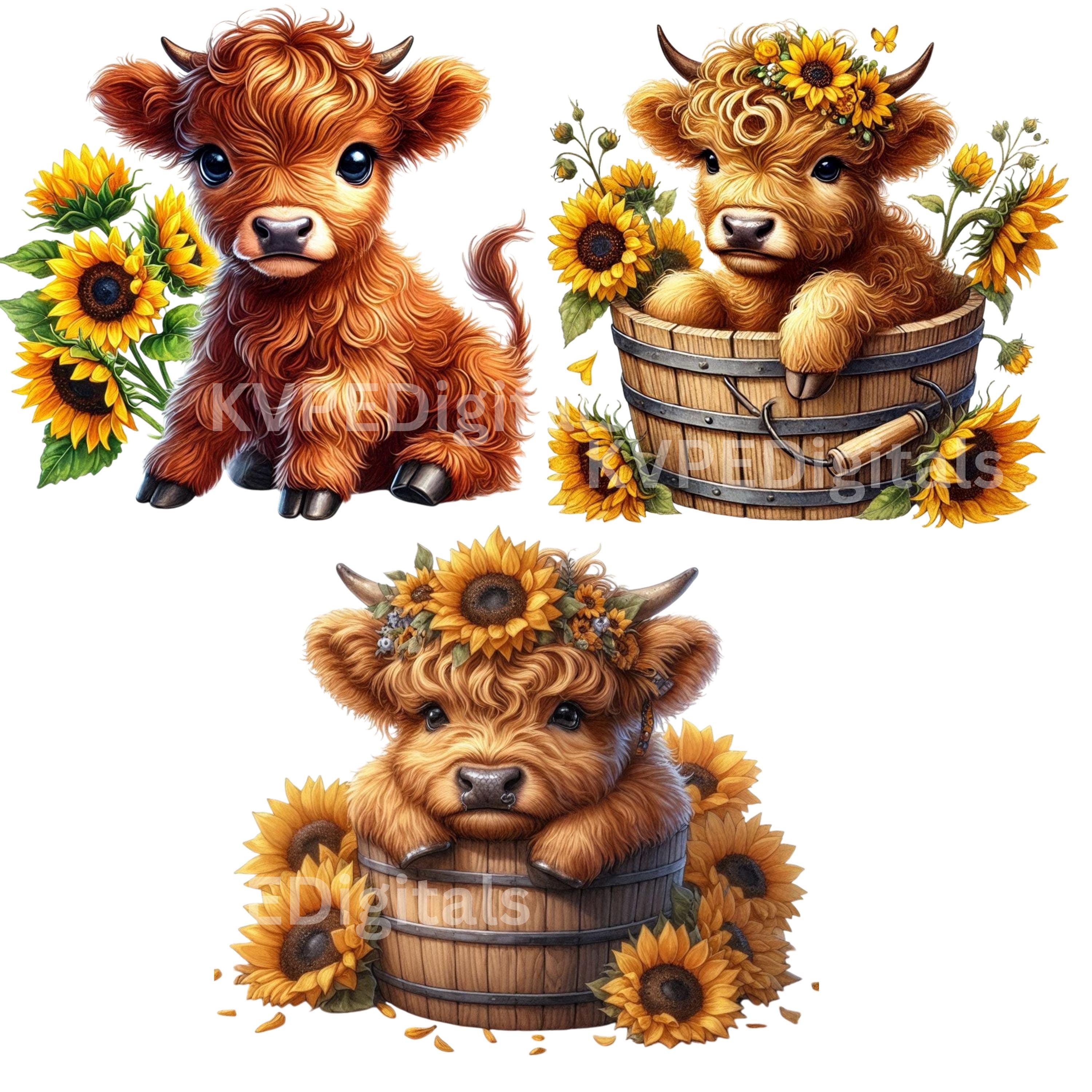 Sunflower Highland Cow W/ Flowers Clipart Bundle, 20 PNG Cute Baby Cow ...