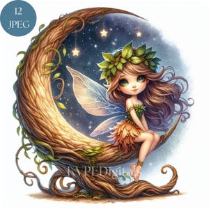 Può includere: Illustrazione digitale di una fata seduta su una luna crescente. La fata ha lunghi capelli castani, occhi verdi e indossa una corona e un vestito di foglie. Lo sfondo è un cielo stellato con stelle sospese.