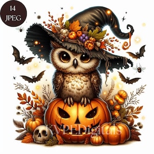 Halloween Witch Owl, 14 Jpeg Spooky Halloween Animals, Cute Creepy Bird Clipart Bundle, Trick or Treat Fall Decor, Owl & Pumpkin, Scrapbook