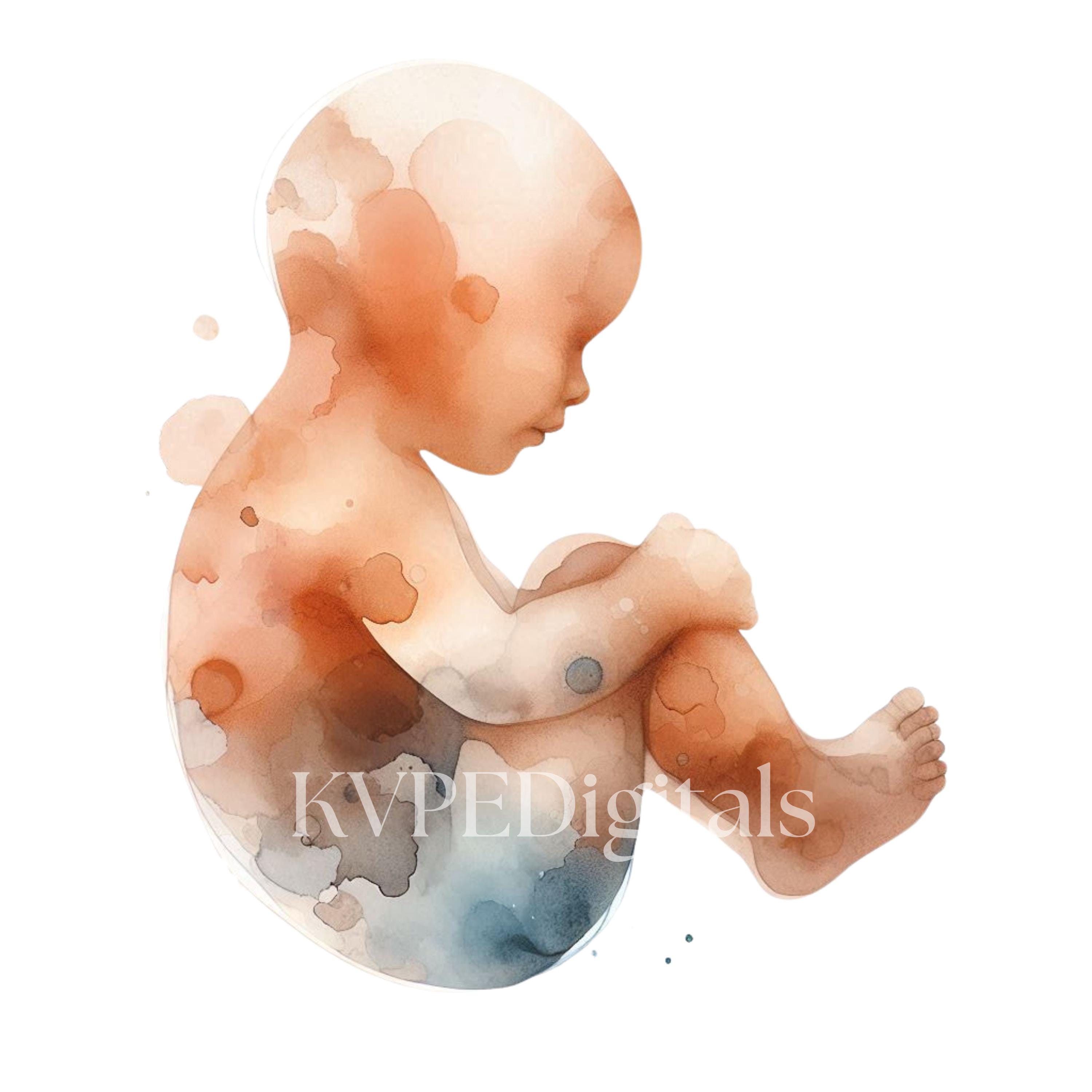 Abstract Baby Watercolor Clipart 15 PNG, Newborn Silhouette, Minimal ...