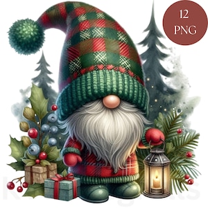 Kerst winter kabouter rustieke vakantie geruite clipart, 12 png feestelijke printables set, commercieel gebruik, dagboek plakboek diy ambachten kamers decor