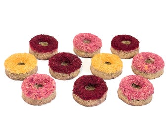 Mini Donut Chinchilla Treats (10-Pack)