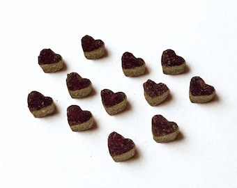 Mini corazones de hibisco para chinchillas (paquete de 25)