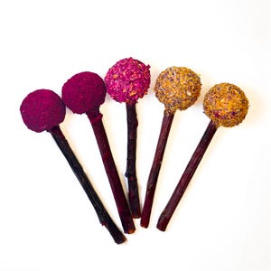 Chin Pops Chinchilla Treats (5-Pack)
