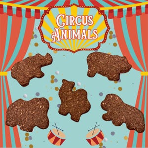 Galletas de circo para chinchilla (paquete de 5) - Tamaño mediano / Galletas saludables y totalmente naturales para chinchilla / Sin colorantes ni tintes artificiales