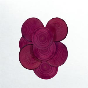 10 monete di pioppo biologico HIBISCUS