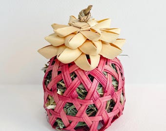 Pink Ananas Timothy Heu Futter Tosser Kleines Haustier Kauspielzeug