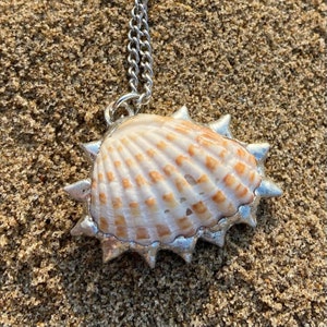 Handmade Spikey Soldered Seashell Necklace in style sun 'BEAM'
