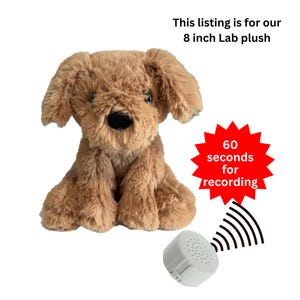 Personalized Golden Lab Plush with Message 8 inch, Plays Your Voice Recordings or Music; Sing a song, give a message - 8in Labrador Plushie