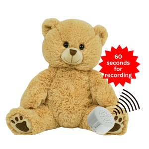 Personalized Teddy Bear with Message, Plays Your Voice Recordings or Music; Sing a song, give a message - Bennie Bear 16 inch Plushie