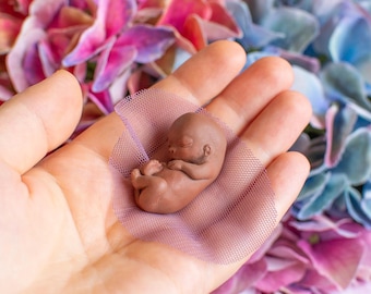 10 Week Gestation Fetus Sculpture – Honor Memorial Keepsake – Pregnancy Loss – Miscarriage Memento -Fetal development stage model