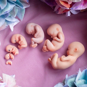 オーダーメイド、妊娠 11 週の胎児、記念/名誉彫刻 - 赤ちゃんの オーダーメイド、妊娠 11 週の胎児、記念/名誉彫刻 - 赤ちゃんの
