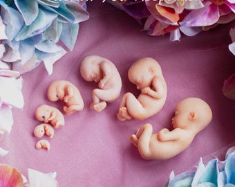 Custom Memorial Baby Sculpture (6-12 Weeks Gestation) - Pregnancy Loss Keepsake