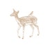 BirdieandDoe