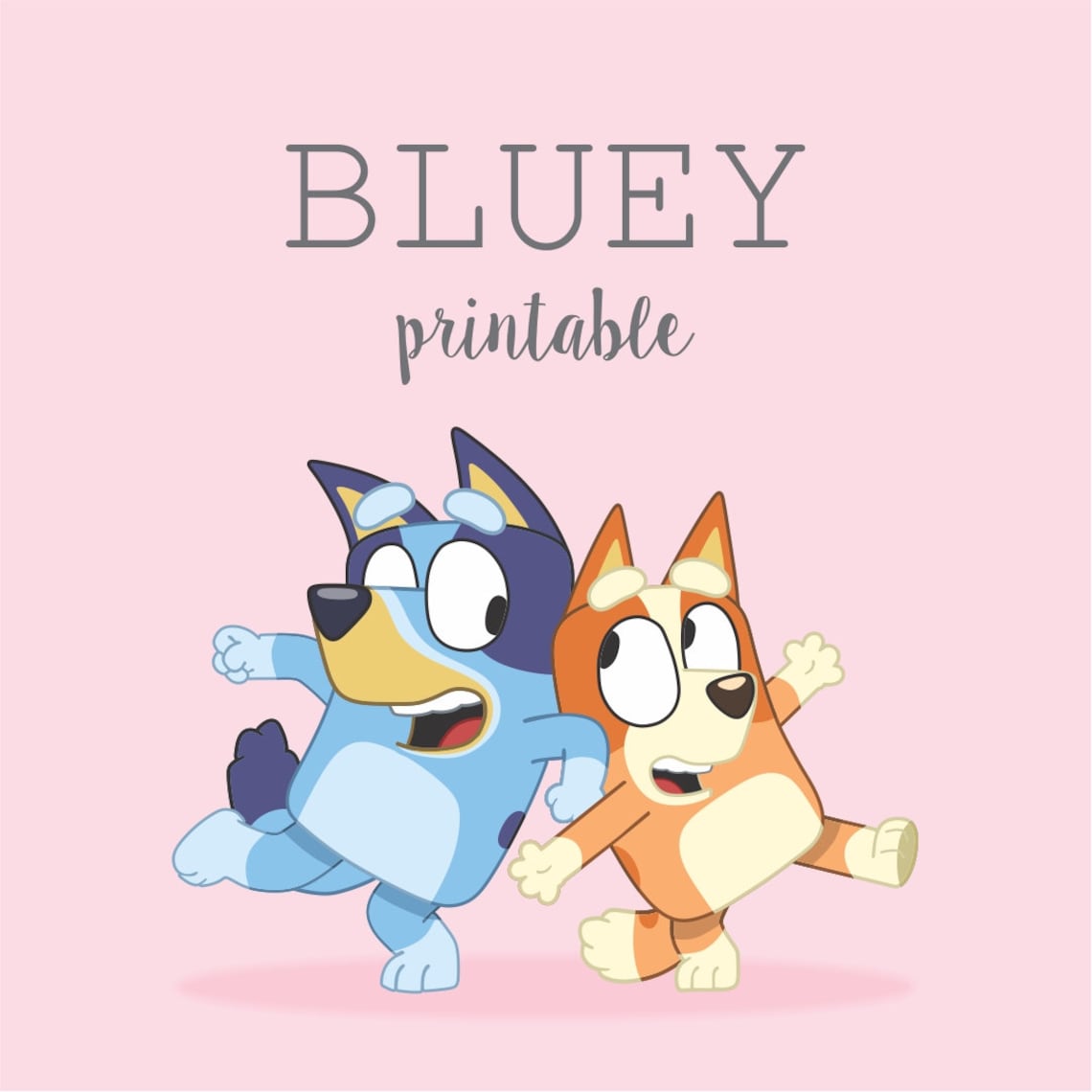 Bluey Pink Colors Printable Birthday Party Decoration - Etsy Canada