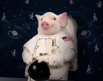 When pigs fly fun wall art pigs in space