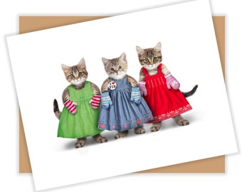 Blank greeting card, fun greeting card three little kittens, funny all occasion card