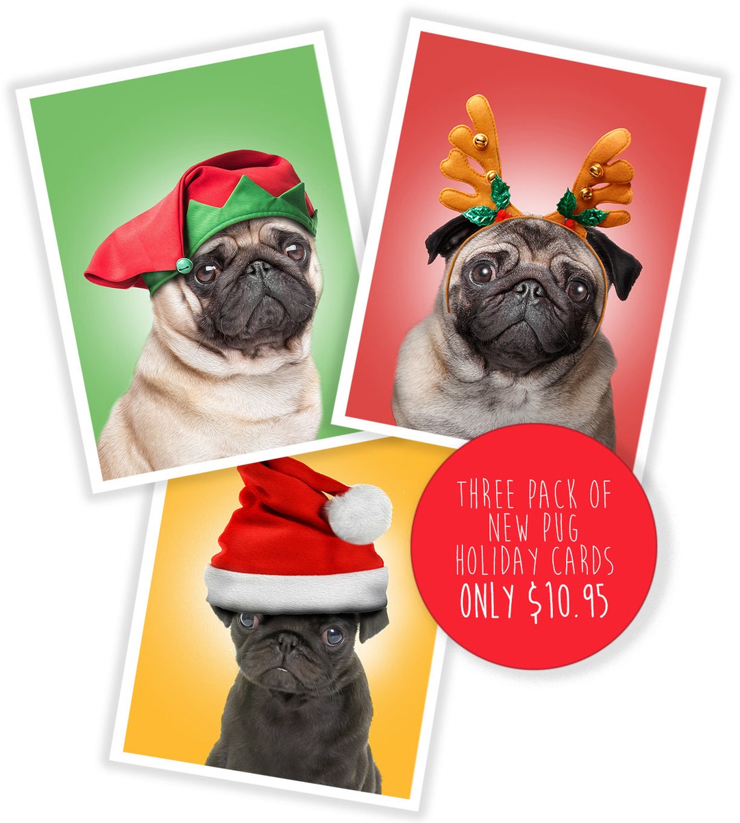 3 NEW Funny Pug Christmas Cards - New Christmas Pug Greeting - Fun Pug ...