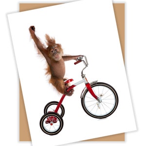 May include: A greeting card featuring a brown orangutan riding a red, white, and silver tricycle. The orangutan is raising one arm in the air. The card is on a white background with a brown envelope.