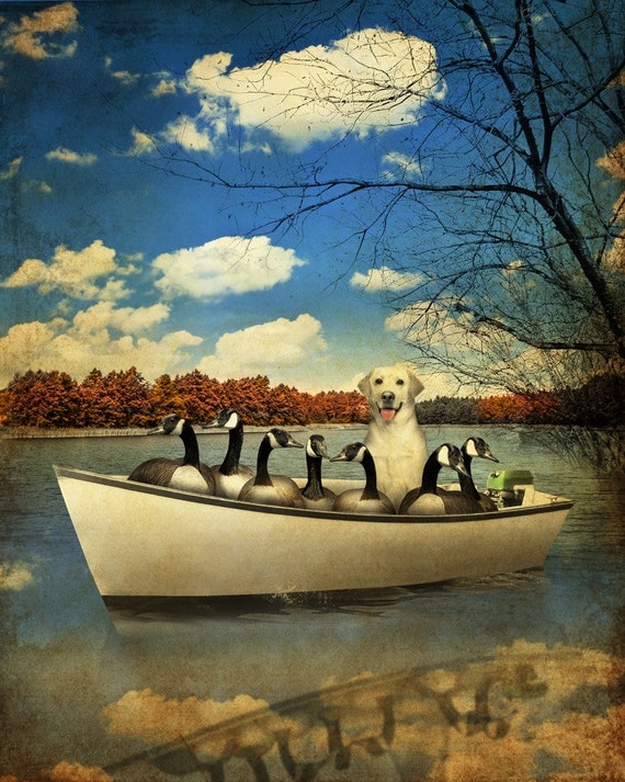 Funny dog art prints top