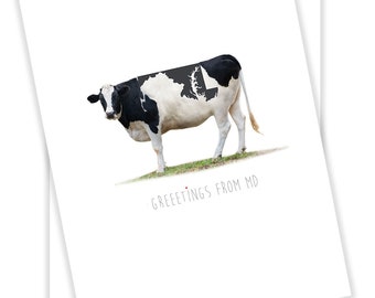 Maryland blank greeting card, fun Maryland card with cow, all occasion cow card