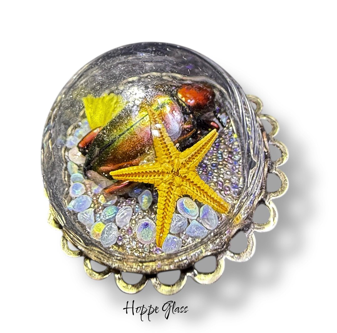 Button Studio - Habitat, Bug, Starfish, Shells, Moveable Opals, Set in ...