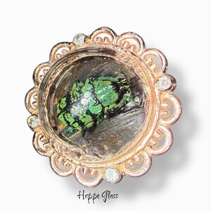 May include: A round, decorative glass piece with a bronze-colored scalloped edge. The center features a green and black design, possibly a frog or insect, encased in clear glass. Small, clear gems are set around the edge. The text "Hoppe Glass" is at the bottom.