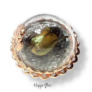 Button Studio - Habitat, Bug, Butterfly Wings, Coralene, Metal OME, Copper Electroformed - Medium