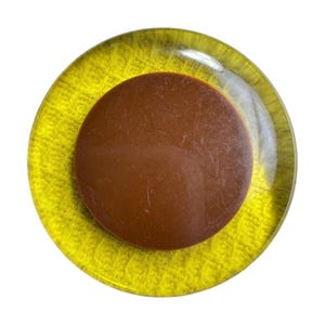 Button Vintage - Cookie, Apple Juice & Brown, Bakelite - Large