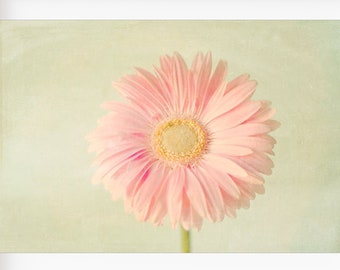 Gerbera Daisy Print, Pink Flower Photo, Girls Room Wall Art, Nursery Wall Art, Botanical Flower Photo, Pink Flower Photo, Girls Room Decor