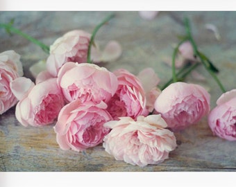 Still Life Photography - English Roses Photo, Pink Still Life Photo, Flower Photography, Farmhouse Wall Art, Roses Photograph, Pink Roses