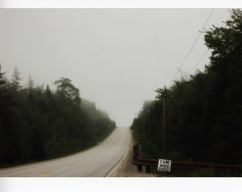 Dark Maine Landscape Photography, Camping Wall Art, Maine Landscape, Rustic Home Decor, Brown Green Wall Art, Foggy Maine Photo, Maine Print