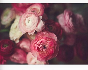 Still life photography, Pink Floral Wall Art, Ranunculus Photo, Dark Botanical Print, Moody Floral Wall Art, Living Room Wall Art,