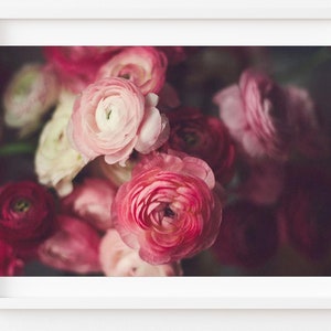 Still life photography, Pink Floral Wall Art, Ranunculus Photo, Dark Botanical Print, Moody Floral Wall Art, Living Room Wall Art,