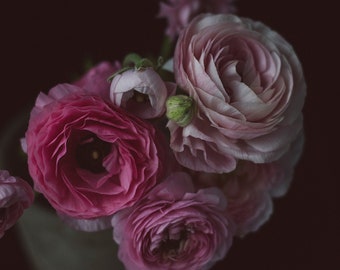 Still Life Photography, Ranunculus Flowers, Dark Floral Wall Art, Dark Botanical Print, Moody Floral Still Life, Rich Deep Tones Floral Art