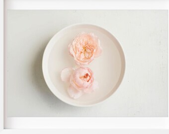 Pink Wall Art, Roses Print, Roses Still Life Photo, Floral Wall Art, Flower Photography, Botanical Print