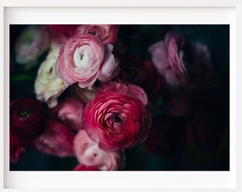 Fotografía de bodegones, estampado floral de humor oscuro, impresión de Ranunculus, foto floral oscura, impresión botánica, foto de Ranunculus oscuro, botánico oscuro