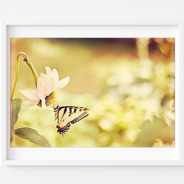 Nature Photography - Yellow Nursery Butterfly Photo Nature Insect Bug Print Romantic Decor Fine Art Photograph Swallowtail Photo