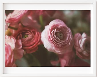 Still life photography, Ranunculus Print, Dark Ranunculus Photo, Rich Tones Floral, Botanical Wall Art, Flower Photo, Ranunculus Wall Art
